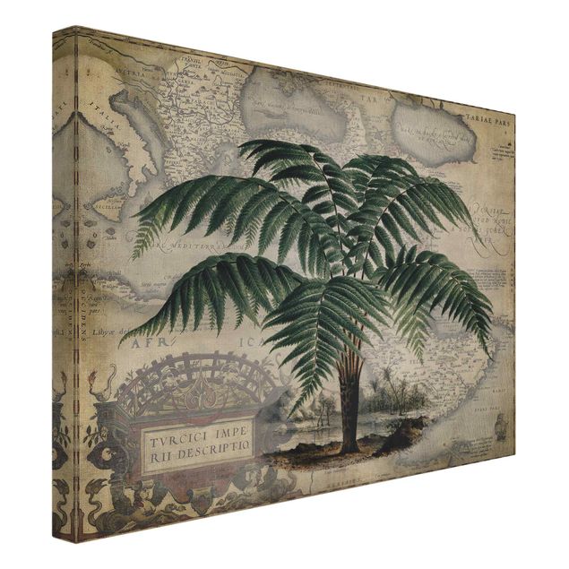 Obrazy krajobraz Kolaż w stylu vintage - drzewo palmowe i mapa świata