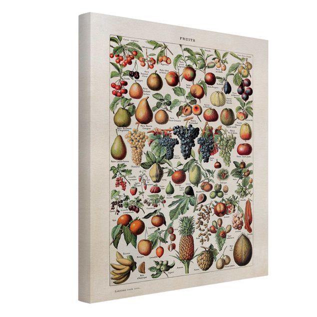 Obrazy retro Tablica edukacyjna w stylu vintage Owoce