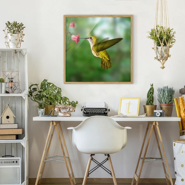 Obrazy w ramie do łazienki Koliber i kwiat