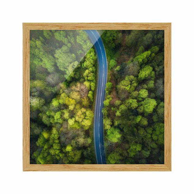 Obrazy w ramie do łazienki Zdjęcie lotnicze - Droga asfaltowa w lesie