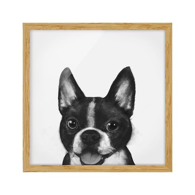 Obrazy w ramie do łazienki Ilustracja pies Boston czarno-biały Painting