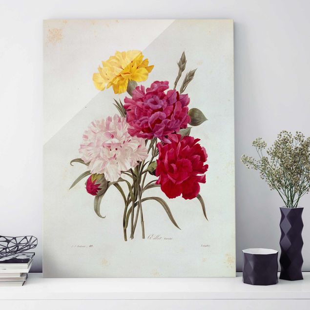 Obrazy kwiatowe Pierre Joseph Redouté - goździki