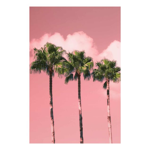 Obrazy krajobraz Palmy przed Sky Pink