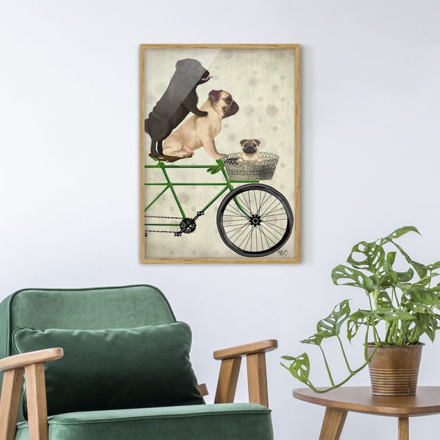 Obrazy w ramie do korytarzu Wycieczka rowerowa - Pugs on Bikes