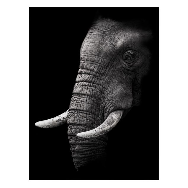 Zwierzęta obrazy Portret ciemnego słonia