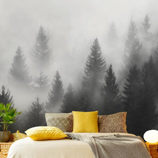 Fototapeta las Las iglasty w mgle, czerń, biel