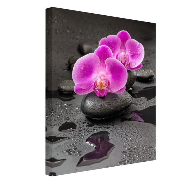 Obrazy do salonu Kwiaty różowej orchidei na kamieniach z kroplami