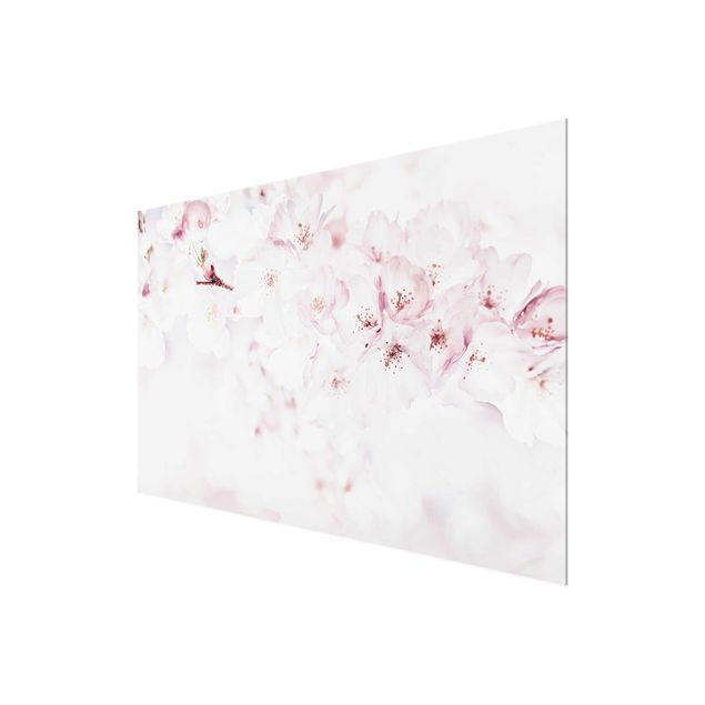 Obrazy z motywem kwiatowym Wiew kwitnącej wiśni