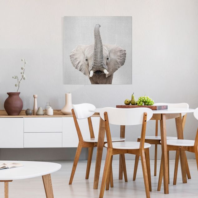 Obrazy do salonu nowoczesne Elephant Ewald
