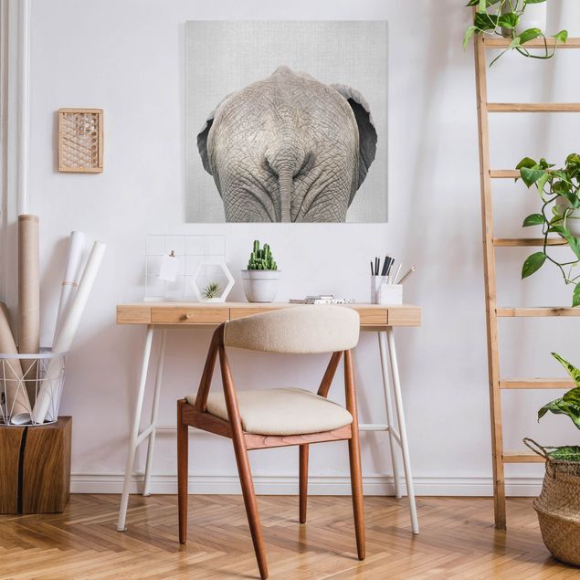 Nowoczesne obrazy do salonu Elephant From Behind