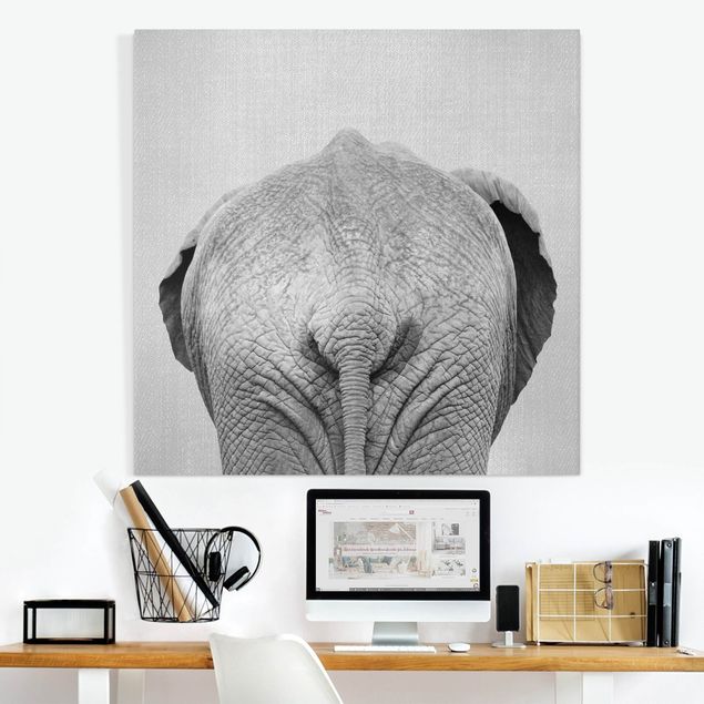 Słoń obraz Elephant From Behind Black And White