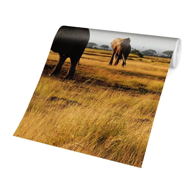 Fototapety krajobraz Słonie na tle Kilimandżaro w Kenii