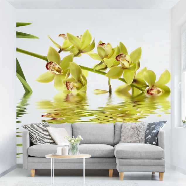 Orchidea tapeta Eleganckie wody orchidei
