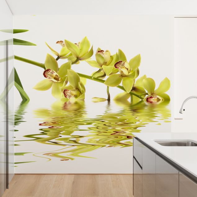 Białe tapety Eleganckie wody orchidei