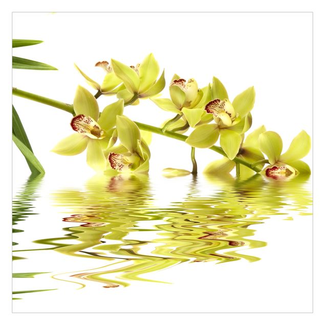 Tapeta ścienna Eleganckie wody orchidei