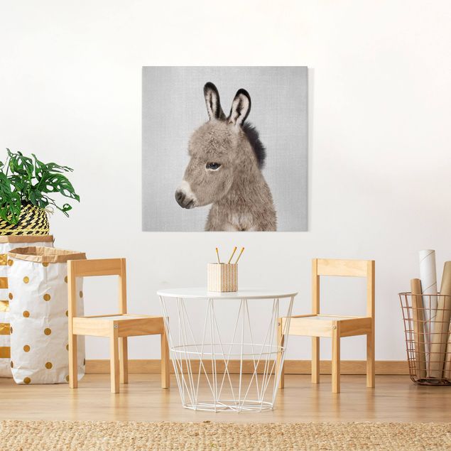 Obrazy do salonu nowoczesne Donkey Ernesto