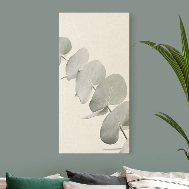 Obrazy do salonu Gałązka eukaliptusa w białym świetle