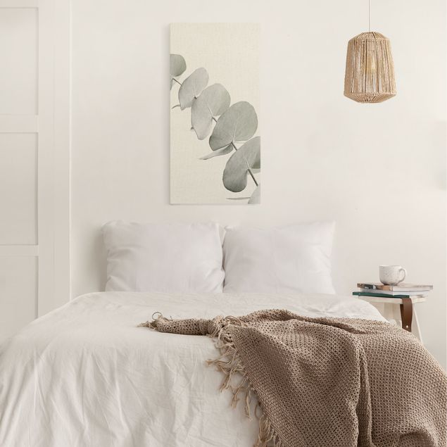 Obrazy kwiatowe Gałązka eukaliptusa w białym świetle
