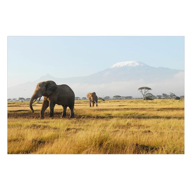 Folia okienna do salonu Słonie na tle Kilimandżaro w Kenii