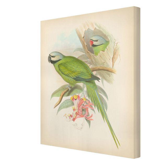 Obrazy na płótnie ptaki Ilustracja w stylu vintage Ptaki tropikalne II