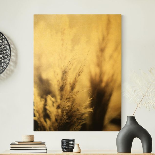 Obrazy motywy kwiatowe Trawa pampasowa w cieniu