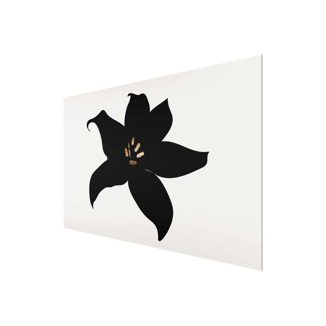 Obrazy nowoczesne Graficzny świat roślin - Orchidea czarno-złota