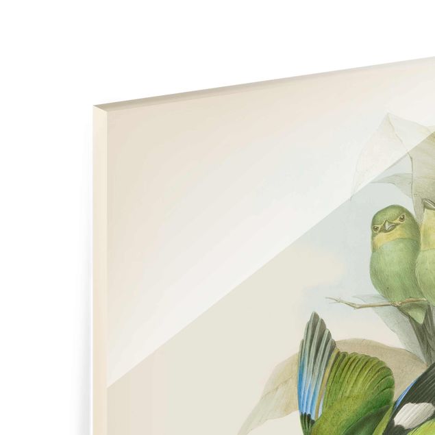 Zielony obraz Ilustracja w stylu vintage - ptaki tropikalne