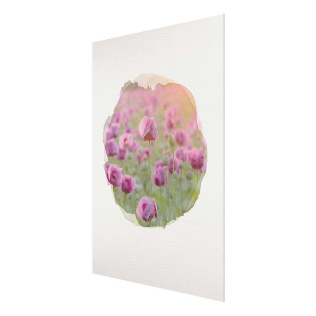 Obrazy do salonu Akwarele - Fioletowa łąka maków opiumowych na wiosnę