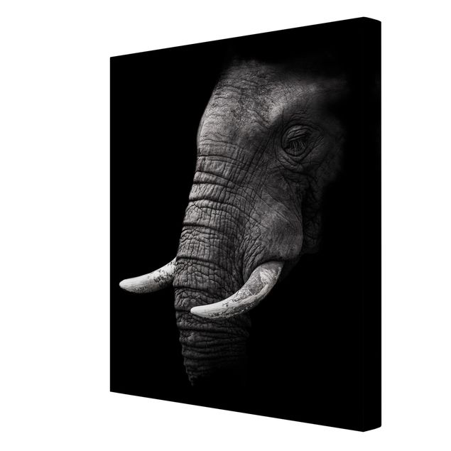 Słoń obraz Portret ciemnego słonia