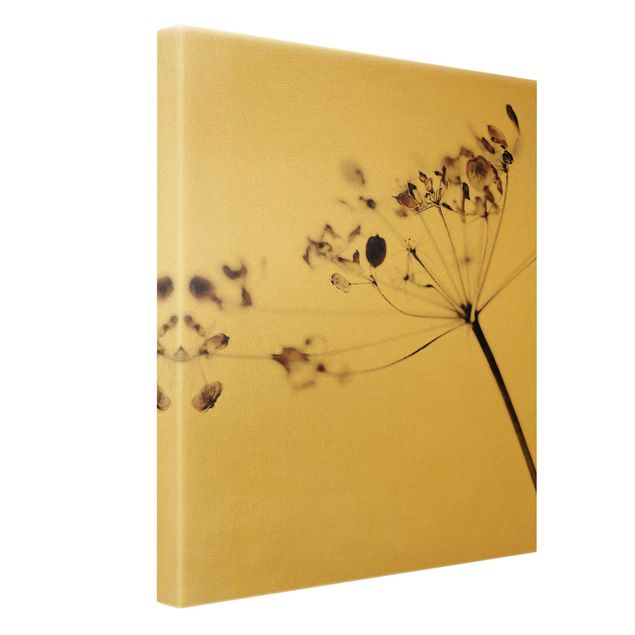 Obrazy drukowane na płótnie Makro ujęcie suszonego kwiatu w cieniu