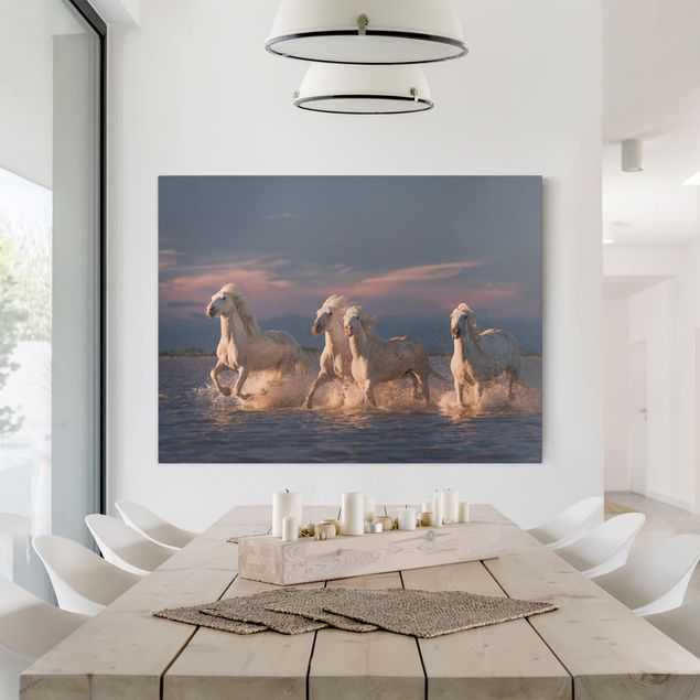 Obrazy do salonu Dzikie konie w Camargue