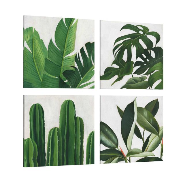 Obrazy kwiatowe Favourite Plants Tropical Set I