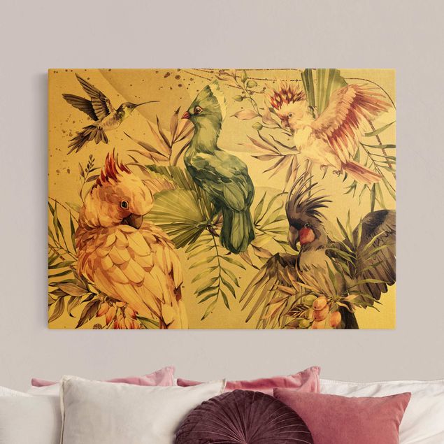 Obrazy pióra Ptaki tropikalne - Kolorowe kakadu i kolibry