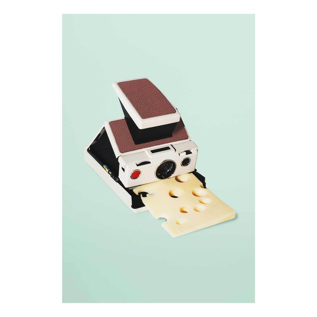 Obrazy nowoczesny Kamera z serem