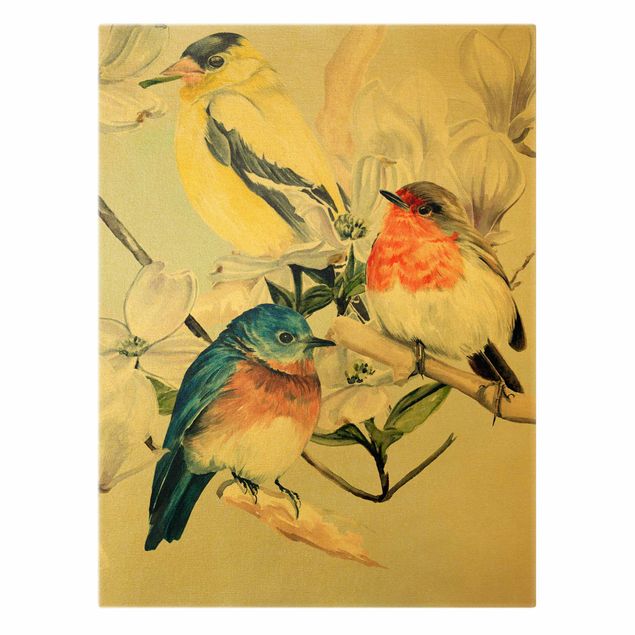 Obrazy na ścianę Kolorowe ptaki na gałązce magnolii II