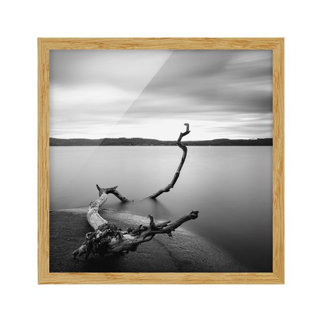 Obrazy w ramie do łazienki Zachód słońca nad jeziorem czarno-biały