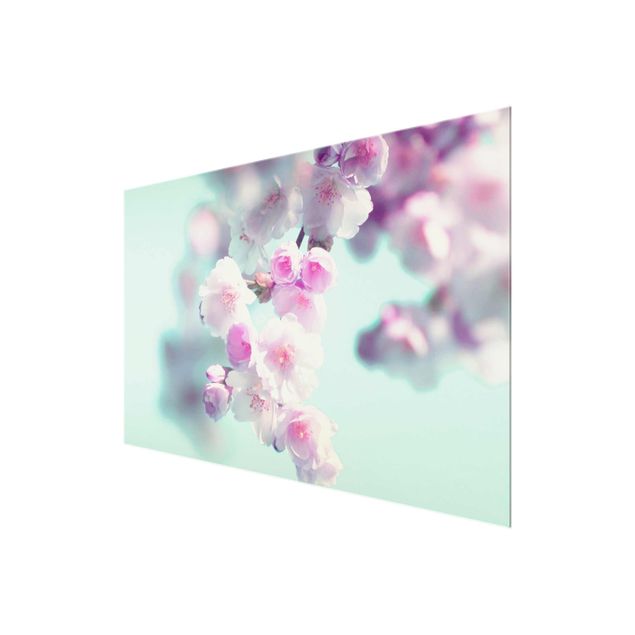 Obrazy z motywem kwiatowym Kolorowe kwiaty wiśni