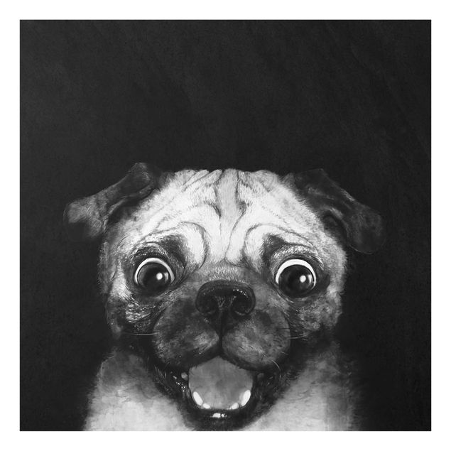 Obrazy na szkle zwierzęta Ilustracja pies Pug malarstwo na czarno-biały