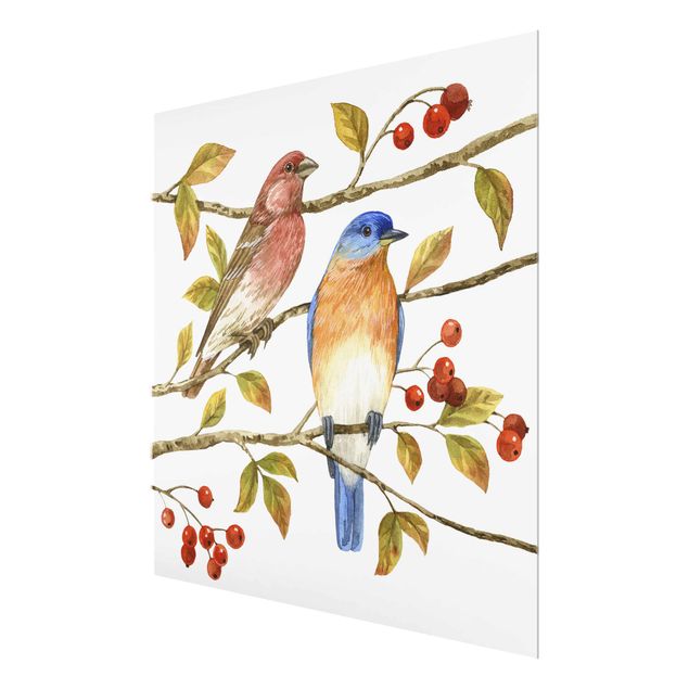 Obrazy zwierzęta Ptaki i jagody - Ptaki niebieskie