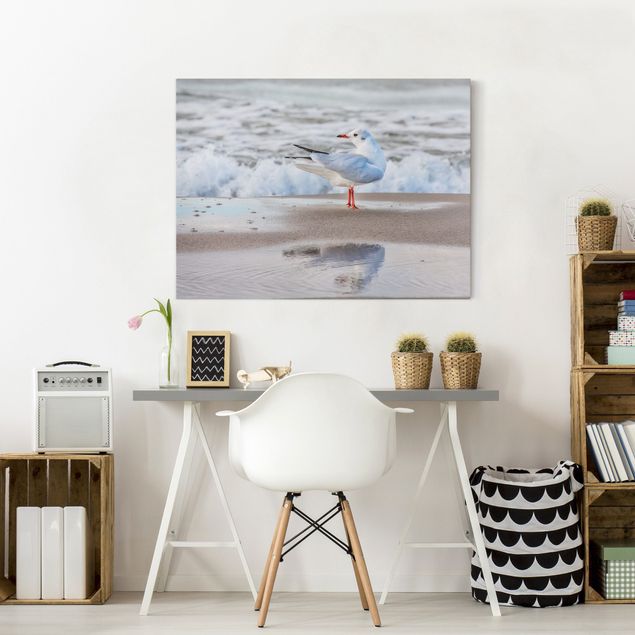 Obrazy do salonu nowoczesne Mewa na plaży przed morzem