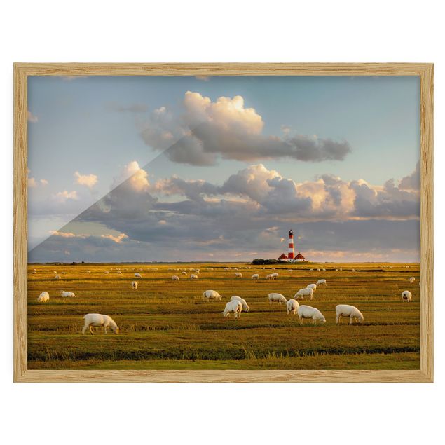 Obrazy w ramie do korytarzu Latarnia morska na Morzu Północnym ze stadem owiec