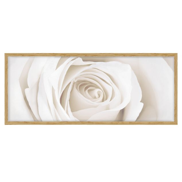 Obrazy w ramie do kuchni Piękna biała róża