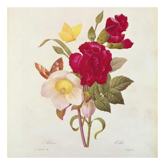 Obrazy na szkle artyści Pierre Joseph Redouté - Róże Chrystusa