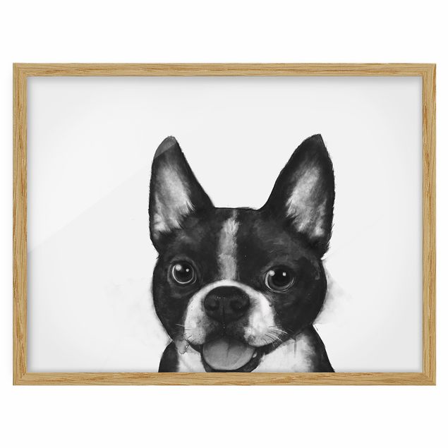 Obrazy w ramie do łazienki Ilustracja pies Boston czarno-biały Painting