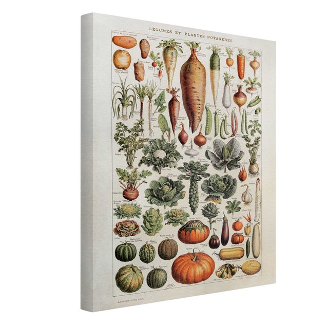 Obrazy retro Tablica edukacyjna w stylu vintage Warzywa
