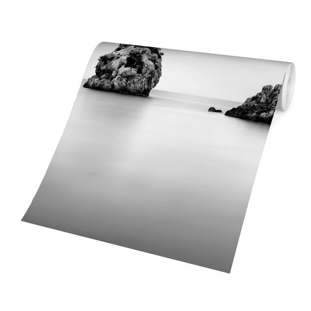 Fototapeta - Skalna wyspa na morzu Czarno-biały