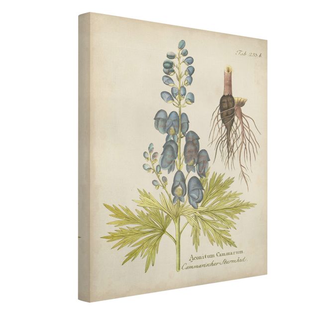 Obrazy retro Botanika w stylu vintage z niebieską kominiarką