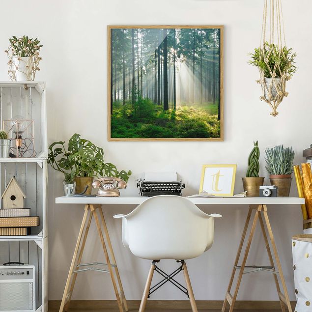 Obrazy w ramie do korytarzu Świetlany las