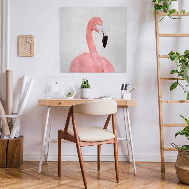Obrazy nowoczesny Flamingo Fabian