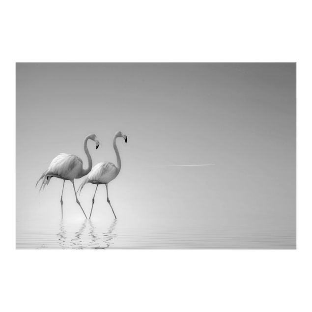 Fototapety Flamingo Love Czarno-biały